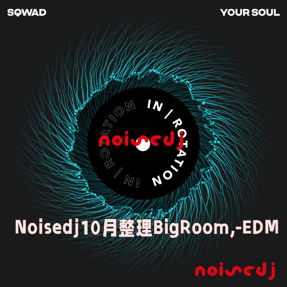 Noisedj10月整理BigRoom,-EDM