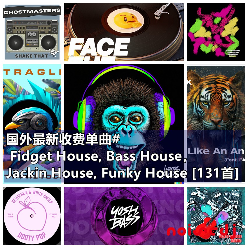 国外最新收费单曲# Fidget House, Bass House，Jackin House, Funky House [131首]