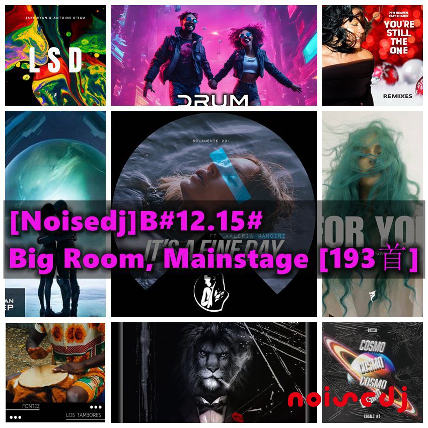 [Noisedj]B#12.15#Big Room, Mainstage [193首]